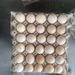 Cần Ghép Hàng tiêu dùng 1 500kg – DH721