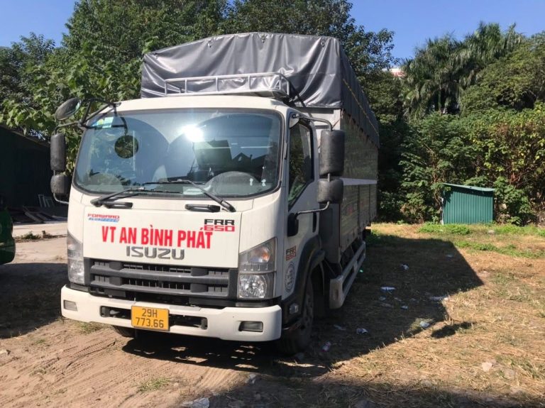 An Bình Phát Logistics - ảnh 5