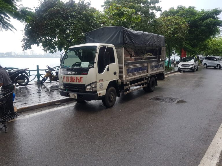 An Bình Phát Logistics - ảnh 4